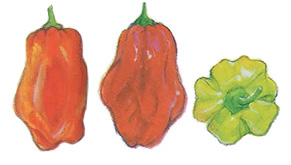 Hot Peppers: The Flouring Inferno Image